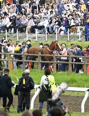 相馬野馬追の「甲冑競馬」でコースの外に飛び出した馬＝２４日午後、福島県南相馬市