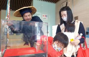 佐渡物産展の金山PRコーナーで金塊つかみ取りに挑戦する男児=3月15日、新潟市中央区の新潟日報メディアシップ