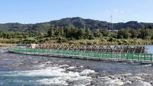 宮崎県延岡市を流れる大瀬川に架設された「鮎やな」=10月