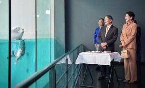 三重県鳥羽市の鳥羽水族館を訪れ、ラッコを視察される天皇、皇后両陛下=8日午後(代表撮影)