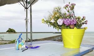 　転覆事故の犠牲者を悼み、辺野古漁港に供えられた花＝４月、沖縄県名護市