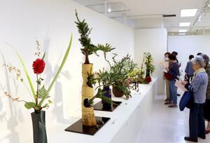 さまざまな流派の生け花作品が楽しめる展覧会=新潟市中央区八千代1
