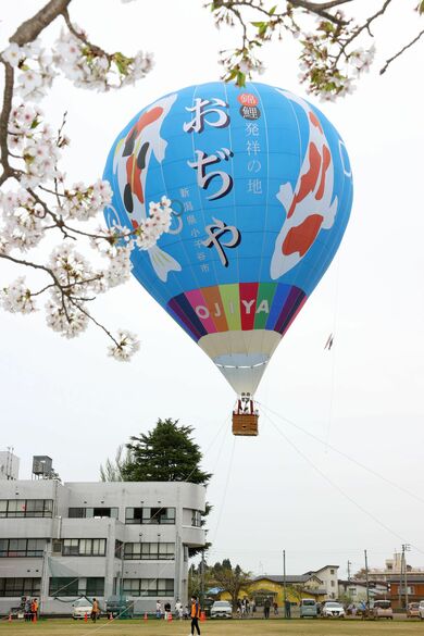 気球でふわり新緑一望 新潟 小千谷 新潟日報デジタルプラス