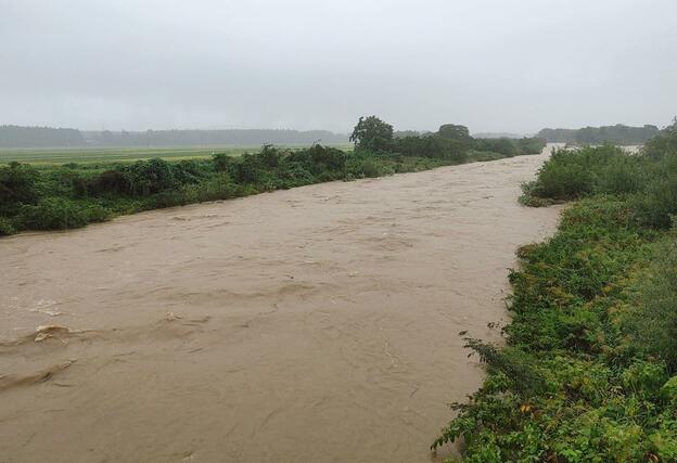 流れが速く濁った高根川=9月21日、村上市