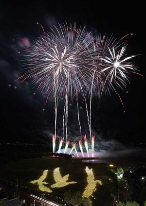 オオヒシクイを出迎えるイルミネーション「雁迎灯」と夜空を彩る花火=新潟市北区