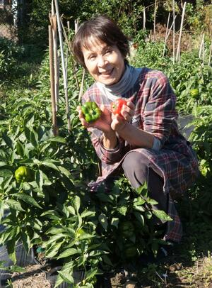 自身で栽培したカグラナンバンを使った商品を売り出している清野智子さん=佐渡市住吉