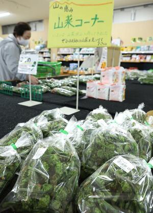 多くの種類が並ぶ「あるるん畑」の山菜コーナー＝上越市大道福田