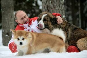 モスクワ郊外の雪原でロシアのプーチン大統領と散歩する秋田犬「ゆめ」(手前)。右にいるのはブルガリア・シェパードの「バッフィー」=2013年3月(タス=共同)