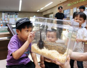 引き当てた昆虫をうれしそうに見つめる子どもたち＝長岡市幸町２