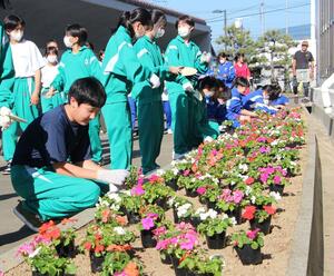 花壇に花を植える水原中学校の生徒=阿賀野市学校町