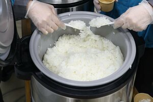 イベントで試食用に炊かれた極早生品種「新潟１３５号」＝２０２５年１１月、新潟市中央区