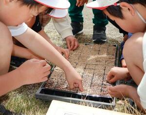 マリーゴールドの種まきをする上野小の児童ら=24日午前、群馬県上野村