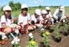 関川の河川敷に色鮮やかな花苗を植えた稲田小の児童ら=上越市稲田
