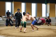 “未来の関取”が押して、いなして、投げる！わんぱく相撲上越場所　小学生力士70人が力と技競う