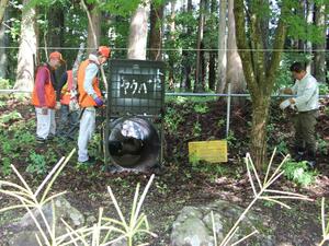 女性がクマに襲われた現場近くにおりを設置する阿賀町職員と地元猟友会のメンバーら=1日午前10時ごろ、阿賀町津川