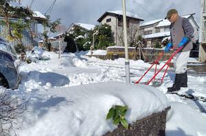 降り積もった雪の除雪作業に励む市民＝１２日、上越市幸町
