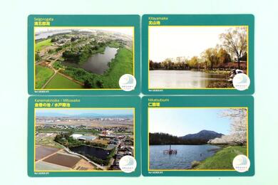 巡って集めて湿地の魅力存分に 新潟市がカード第2弾の配布スタート