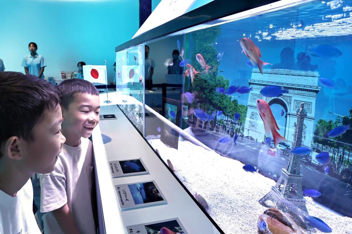 フランスカラーの熱帯魚がス～イスイ♪新潟上越市の水族館「うみがたり