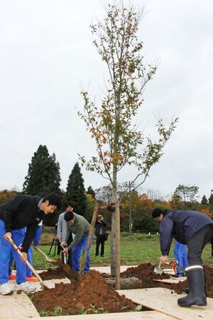 山本山にブナを植樹する中学生ら=小千谷市山本