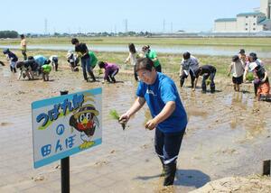ヤクルトスワローズ元監督の真中満さん(手前)が参加した燕市の田植えイベント=5月18日、燕市吉田西太田