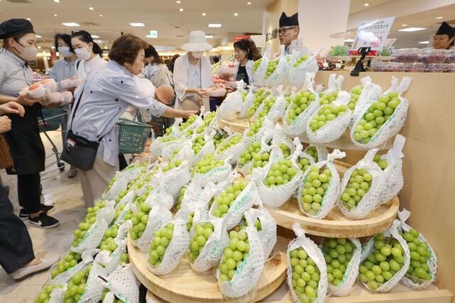 店頭に並んだ大量の山梨県産シャインマスカット