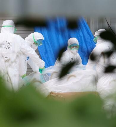 鳥インフルエンザが発生した養鶏場で作業する県職員ら＝４日、胎内市