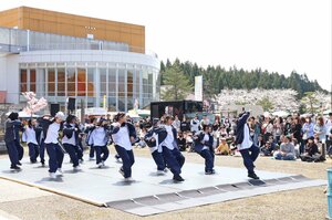 満開の桜の下、ステージイベントなどが行われた西山さくらまつり=柏崎市西山町坂田