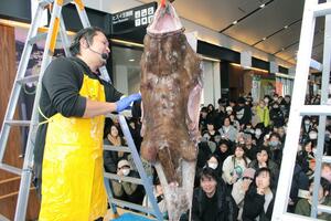 アンコウのつるし切り実演に多くの人が集まった「糸魚川荒波あんこう祭り」=15日、糸魚川市