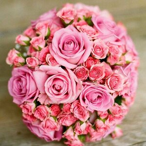 おとぼけビ～バ～のドラム・かほキッス、第1子出産を報告