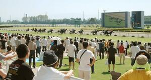 2007年8月、新潟競馬場でレースを楽しむファン
