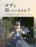 　「ガザを知っていますか？」の表紙カバー（イマジネイション・プラス提供）