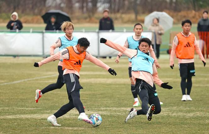 今季初めて専用練習場でトレーニングに取り組む選手たち=聖籠町