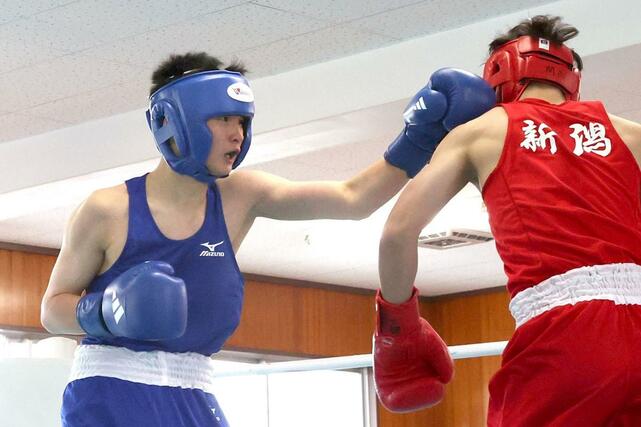 男子ライト級決勝 積極的に攻める新潟第一の大澤泰煌=新潟南高