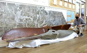 ２７年ぶりに展示された２本の木製プロペラ＝加茂市加茂