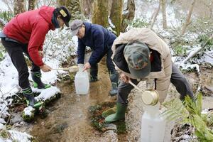 酒造りに使う湧き水をひしゃくで丁寧にくみ上げる佐渡北雪会の会員=佐渡市三川