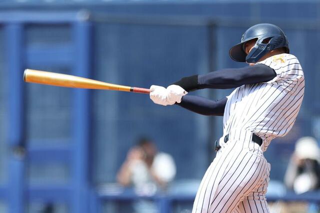 北越－新発田　１回北越１死一、二塁、嶋武仁が２点適時三塁打を放ち２－０＝７月１９日、新潟市中央区長潟のハードオフ・エコスタジアム　