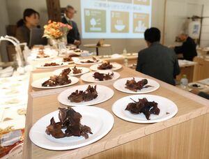 シェアオフィス「キネス天王」を拠点とする産学官連携で開発した高機能キノコ＝新発田市島潟