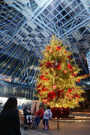青と金色の電飾がクリスマスツリーに彩りを添えた「アオルミネーション」＝１９日、アオーレ長岡