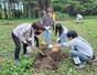 子どもたちが苗木を植え、シャベルや手で土をかけた植樹体験=佐渡市城腰