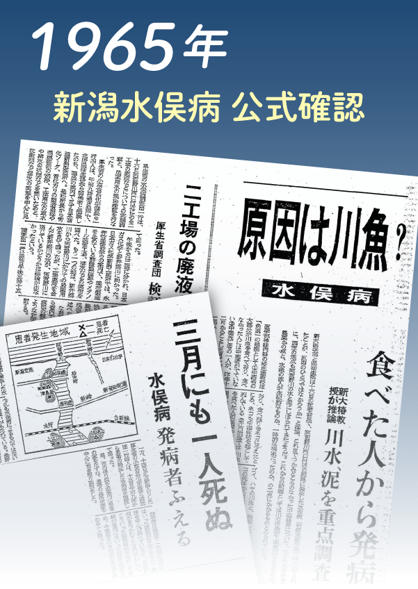 1965年:新潟水俣病の公式確認