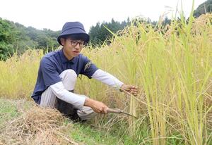 農家を志し、通信制大学に通いながら農作業に励む中村洸葵さん=佐渡市の笹川集落