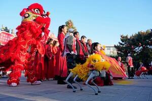 春節の縁日「廟会」が開かれた北京の竜潭公園に登場した獅子舞ロボット(手前右)=17日(共同)