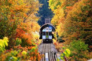 魚沼市フォトコンテストで金賞に選ばれた今井一治さんの「秋色に染る」（市観光協会提供）