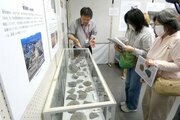 文字に秘められた古代佐渡のメッセージ…新穂歴史民俗資料館で島内30遺跡の出土品展示、8月2日まで