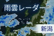 雨はいつどこに…一目で分かる「雨雲レーダー」新潟日報が公開　梅雨のお出かけ前に必見