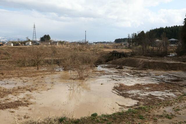 流木や土砂がたまり、水があふれた取水堰周辺＝６日、上越市向橋
