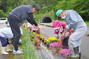 中永トンネルの入り口付近の花壇を整備する「海・花街道物語」のメンバー＝出雲崎町小釜谷