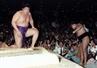 1991年5月の夏場所で18歳の貴花田(左、当時)は横綱千代の富士に勝利=両国国技館