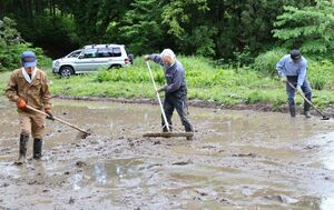 花ハスを栽培する田んぼを整備する六箇地区振興会のメンバー=5月16日、十日町市田麦
