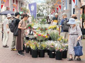 盆入りを前に、花や野菜などを買い求める人たち=8月12日、新潟市中央区本町通6